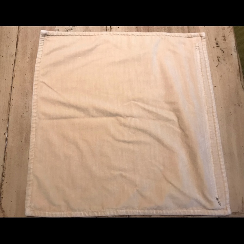 - Washed velvet Potterybarn pillow cover 20x20